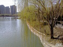 -紫竹院公园冰场
