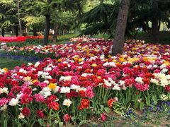 -石家庄市植物园