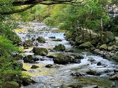 -广州市石门国家森林公园