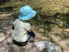 -牛背梁国家森林公园