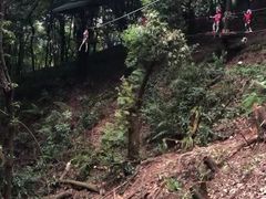 -天鹿湖森林公园