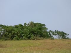 -鄱阳湖国家湿地公园