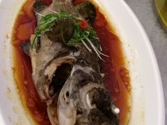 -上海玫瑰园度假酒店