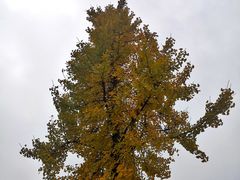 -长广溪湿地公园