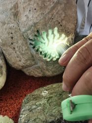 -德龙国际珠宝城