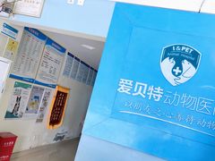 -爱贝特动物医院·猫口炎专科