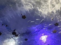 -青岛海底世界-水族馆