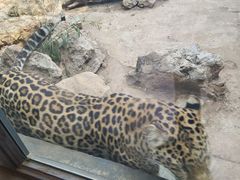 -昆明动物园