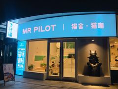 门面-飞行喵MR PILOT|猫舍·猫咖(静安大融城店)