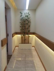 -颜和骨正·明哲式骨相美学整骨