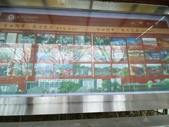 -北京师范大学附属中学