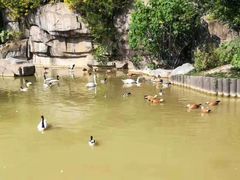 景点-福州动物园