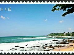 -Ministry of Crab(科伦坡店)