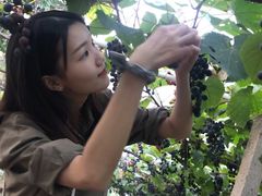 -中国人民解放军联勤保障部队第九〇三医院(九里松院区)