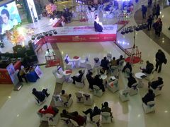 -万达广场(泰安泰山店)