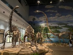 -自贡恐龙博物馆