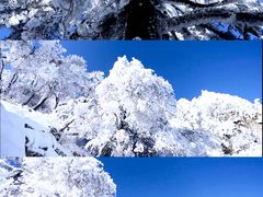 -尧山风景区