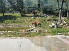 -西安秦岭野生动物园