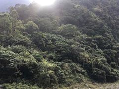 -太鲁阁公园