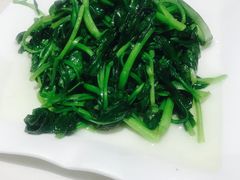 素炒鸡毛菜-19号私房菜(云南路店)