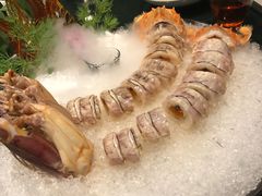 -三号黄浦会Canton Table