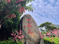 -桃花岛风景旅游区