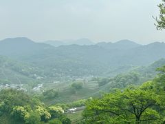 -十里琅珰