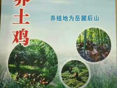 -天怡·鱼工厂(梅溪湖店)