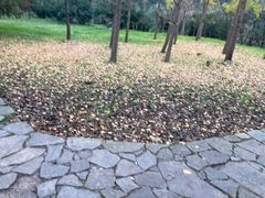 -贵阳市花溪国家城市湿地公园