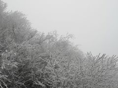 -秦岭风景区