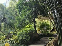 -晓港公园