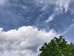 -沣峪口