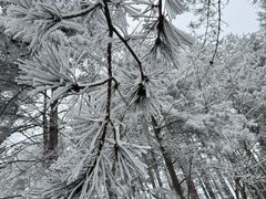 -洛阳白云山景区