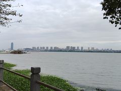 -无锡蠡湖国家湿地公园-蠡园