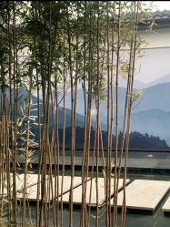 -爱儿美儿童摄影(朝阳公园店)