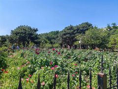 -国家植物园南园