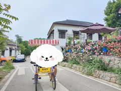-石塘人家