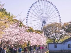 -无锡蠡湖国家湿地公园-蠡园