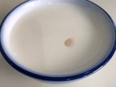 宫廷奶酪-奶酪魏(牛街总店)