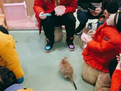 -藦茜花园宠物主题亲子互动体验馆(国顺东路店)