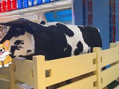 -红星前进面包牛奶公司(君太店)