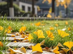 -康熙养生SPA·轻奢足道(江宁万达店)