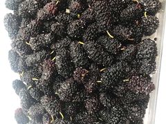 -老炳·七丛松甘草水果