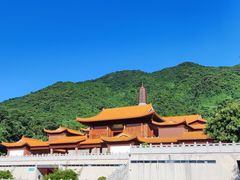 -深圳仙湖植物园