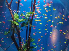 -华夏文旅海洋公园