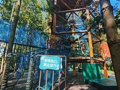 -黄海国家森林公园