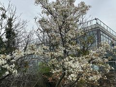 -白塘生态植物园