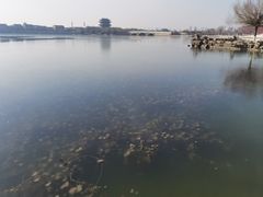 -苹果树下艺术餐厅(通州店)