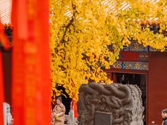 -宝通禅寺