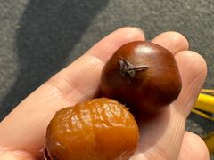 -二斗栗子(黄河道店)
